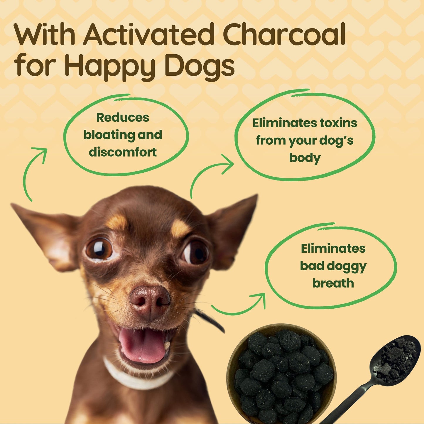 A happy dog looking excited about Stelr Pets charcoal biscuits that reduce bloating and eliminate toxins and bad breath.