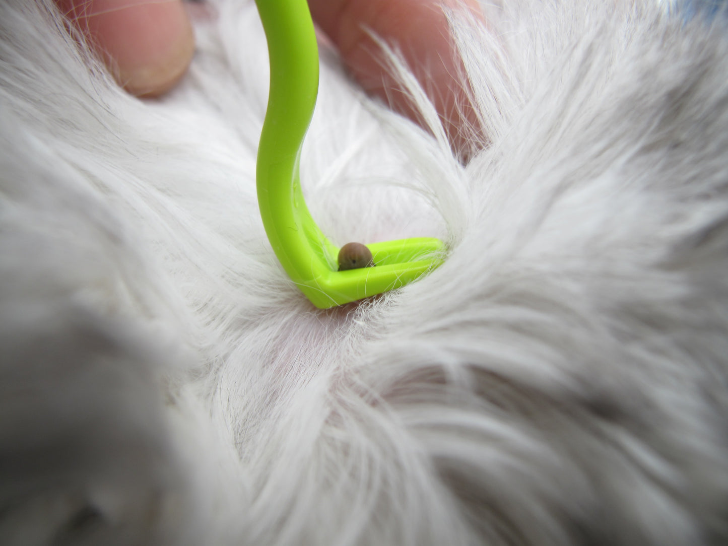 Tick Twister Tick Removers (3 Sizes in Cardboard Packaging)