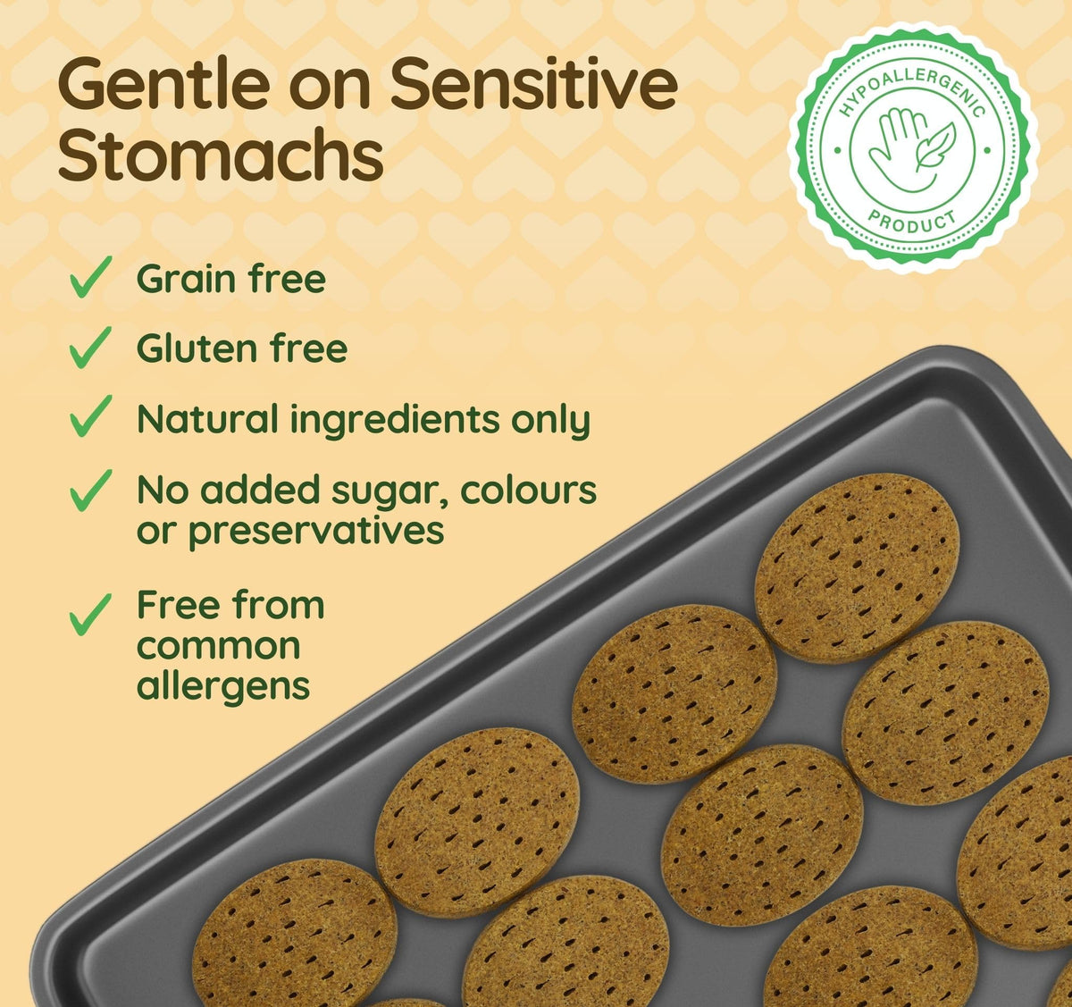 Grain Free Giant Biscuits with Dried Chicken Liver (520g) 