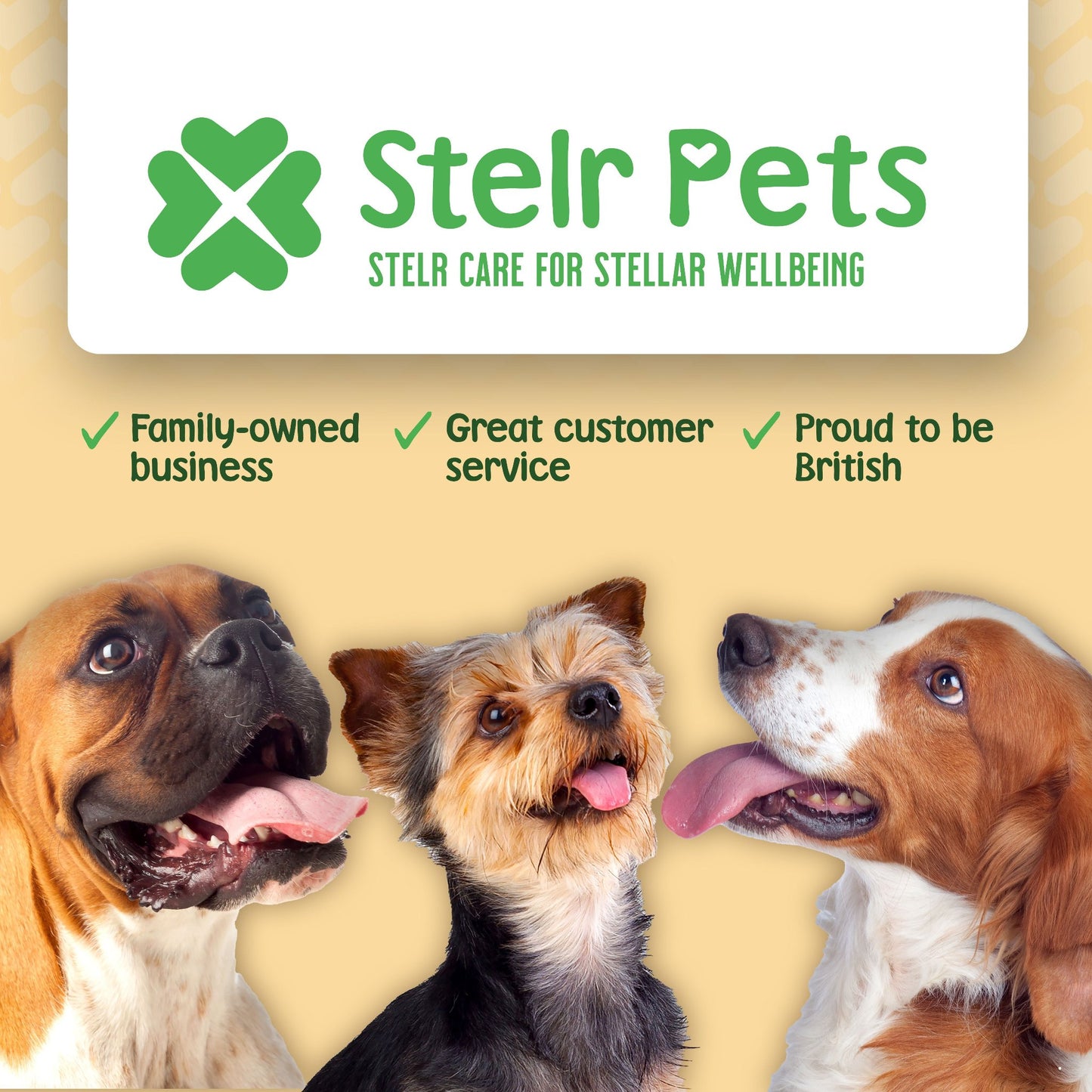 Proud to be British family-owned business, Stelr Pets are committed to your pets' wellbeing and great customer service. 