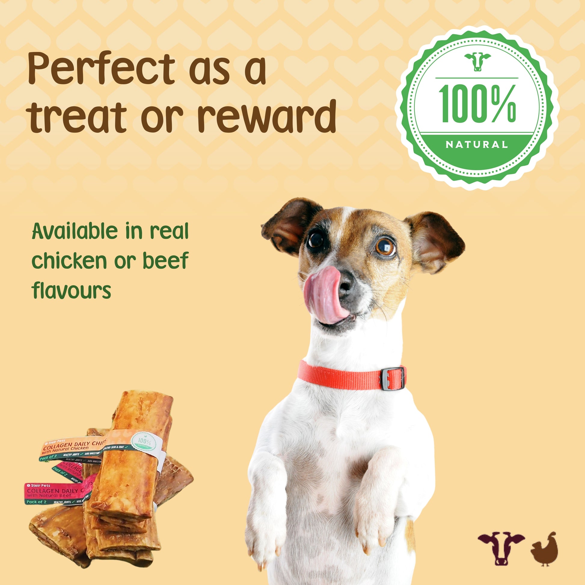 Collagen sticks for dogs from Stelr Pets make a perfect treat or reward. 