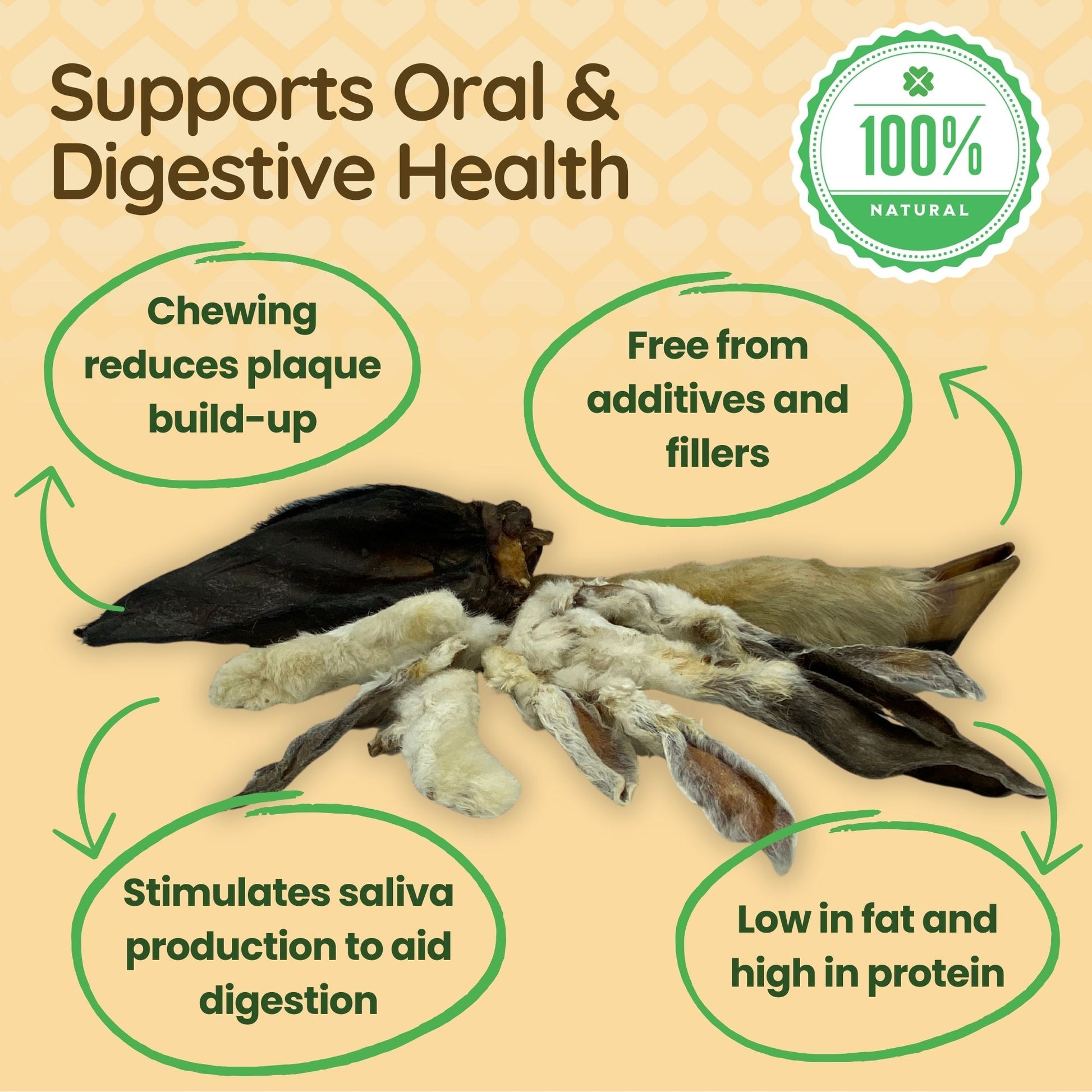 The image shows a selection of natural dog treats with hair and explains their benefits for the dogs' oral and digestive health. The callouts read 'Chewing reduces plaque build up', 'Free from additives and fillers', 'Stimulates saliva production to aid digestion' and 'Low in fat and high in protein'.