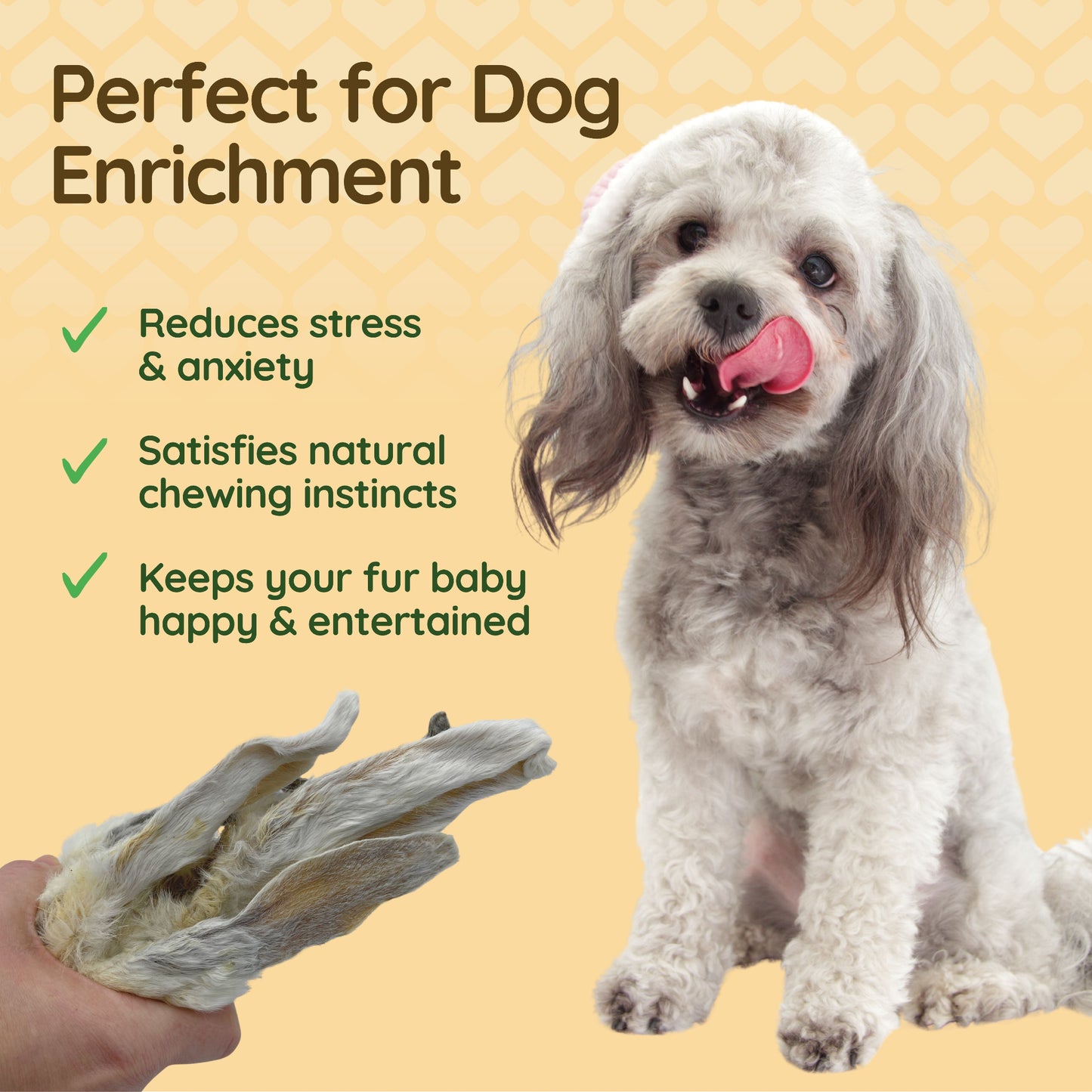 The image pictures a poodle licking his lips at some rabbit ears with fur. Caption reads 'Perfect for dog enrichment'.