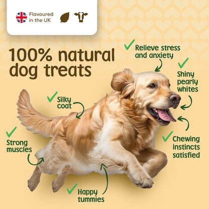 Stelr Pets cow ears have many benefits including stress relief, dental and digestive health, and healthier muscles and coat.