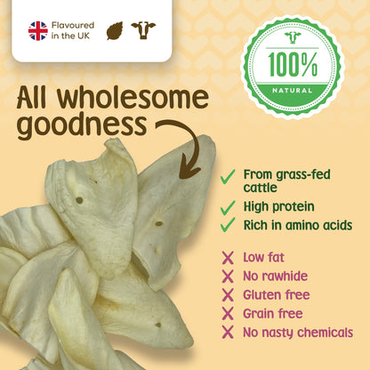 Healthy cow ear treats from Stelr Pets are high in protein and rich in amino acids, without any nasty chemicals or allergens.