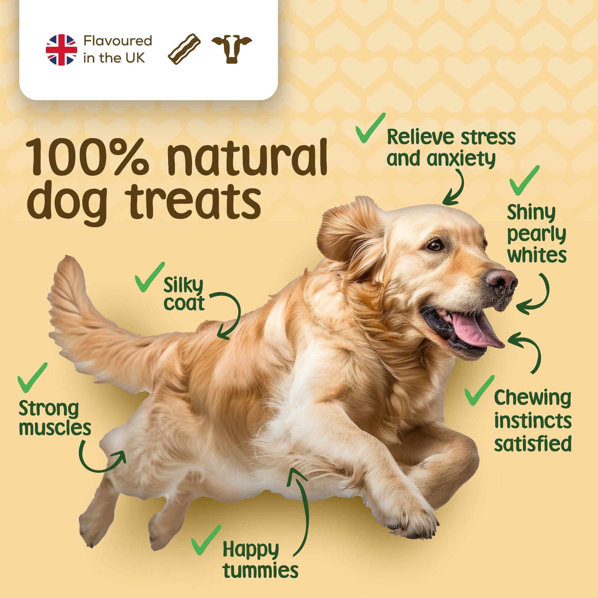 Healthy cow ear treats from Stelr Pets in bacon flavour aid dogs' anxiety, digestion and overall condition. 