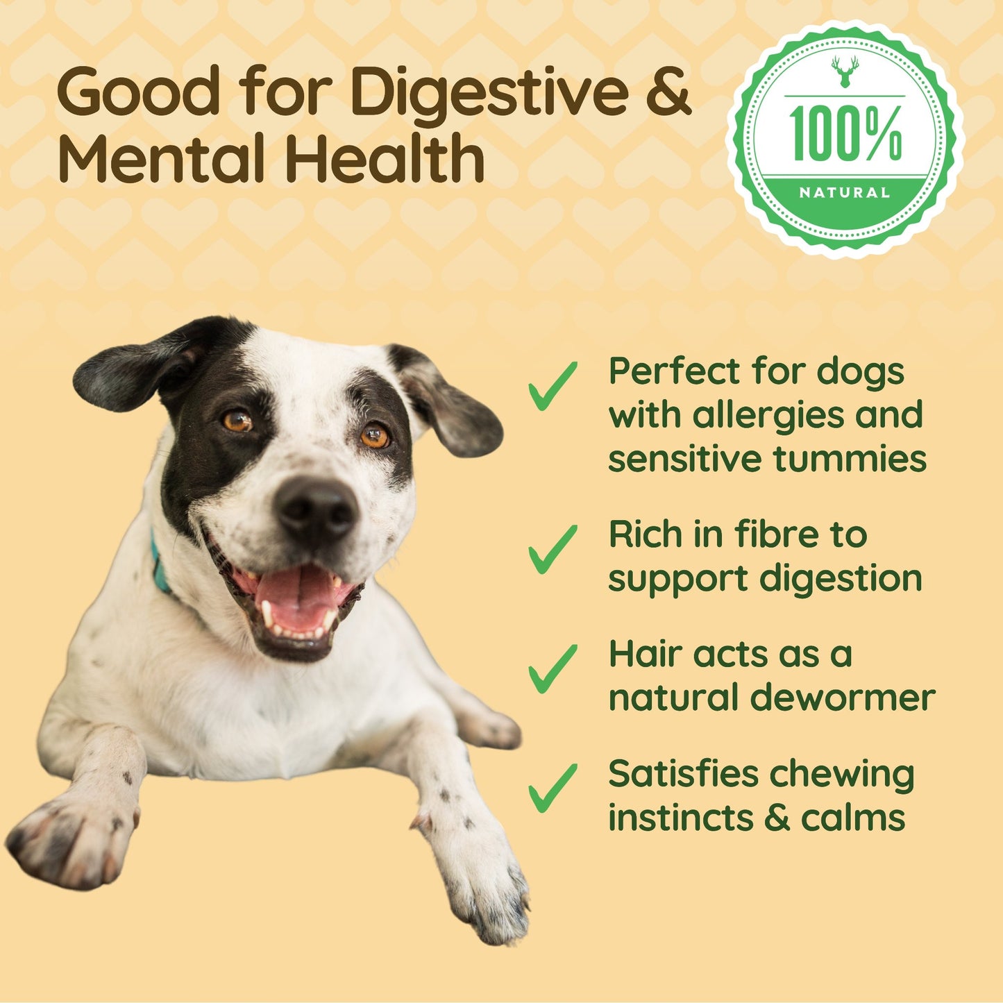 A satisfied, relaxed dog is pictured, having finished chewing on a hairy deer leg. The caption reads 'Good for Digestive & Mental Health'. Bullet points sum up hairy deer leg's benefits  including 'natural dewormer', 'high in fibre to support digestion', 'perfect for dogs with sensitive tummies and allergies' and 'satisfies chewing instincts'. 