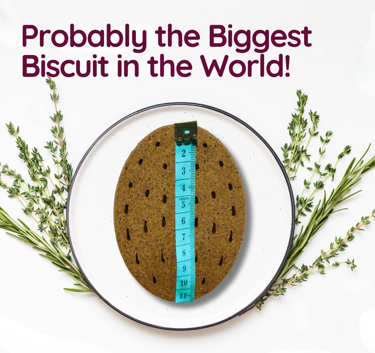 Grain Free Giant Biscuits with Dried Chicken Liver (520g) 