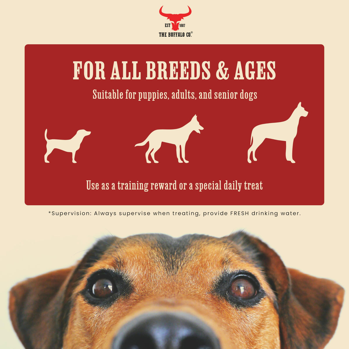 The Buffalo Co. Premium Buffalo Sausages for Dogs (300g)